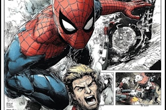 do your comic book or webcomics professionally