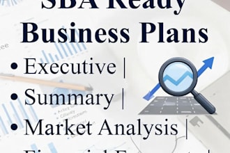 write professional business plan for you