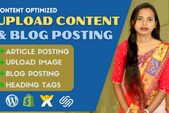 upload content, blog posts, and product upload to wordpress as your VA