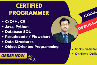 write and debug c cpp java c sharp python coding projects