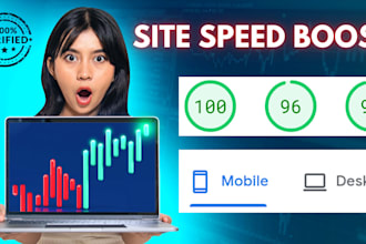 wordpress bug fixes and speed optimise