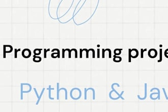 do python java programming projects and tasks