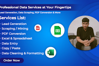 do professional data entry, scraping, monitoring and visualization services