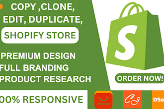 clone shopify store edit duplicate update revamp design redesign shopify website
