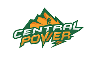 design a premium and modern electrical logo for your business