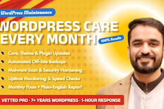 do monthly wordpress maintenance, website updates, backups and security