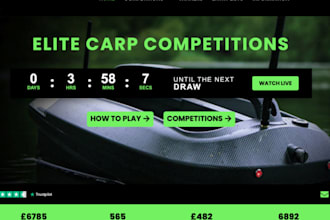 design raffle website, giveaway website, competition website for raffle business