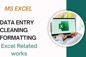 do data entry, cleanup and formatting in excel