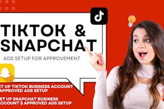 run tiktok ads manager, snapchat ads manager, ads campaign set up, business acct