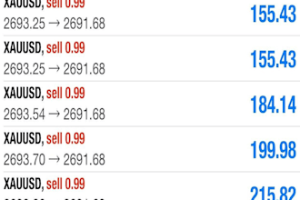 forex automated, forex trading bot, forex gold bot forex trading robot