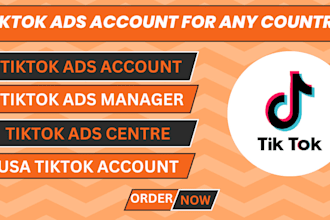 create approved tiktok ads account, snapchat agency account, usa tiktok ads