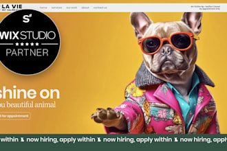build or redesign a beautiful wix studio website
