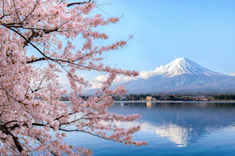 help you with your business in japan