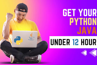do your python java programming and gui projects in 12 hours