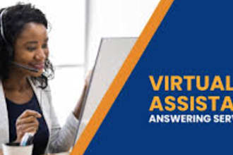 be your executive personal virtual assistant