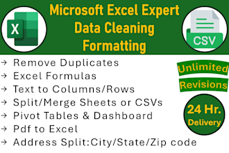 do ms excel data cleaning, convert PDF to excel and interactive dashboard