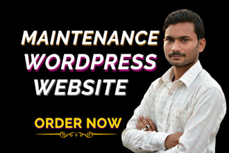 provide monthly wordpress website maintenance, help and support