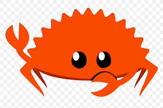 help you with rust programming