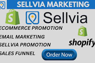 high ticket sellvia marketing shopify ecommerce marketing sellvia promotion