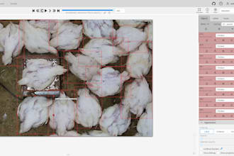 tackle image annotation, segmentation and data labeling for ai model