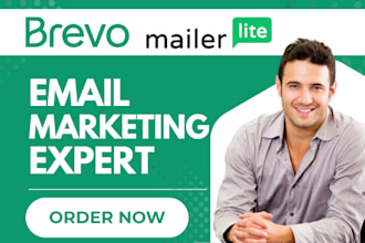 design reusable email newsletter template and automation on brevo mailerlite