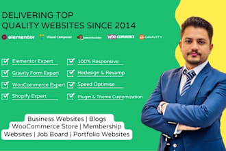 develop professional wordpress website