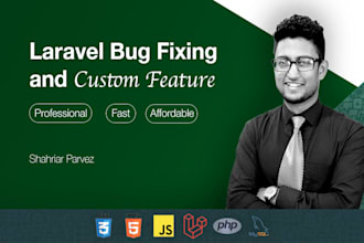 bug fix or customize your laravel web app