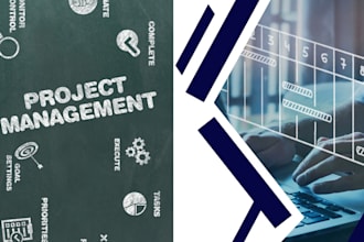 be your expert project manager for business success