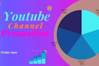 do usa youtube channel promotion and targeted audience
