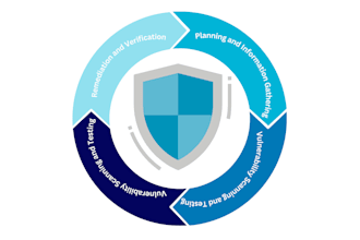 perform automated pentesting by cyber security expert