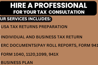 prepare USA tax returns individual and business tax documents payroll reports