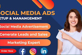 setup and manage facebook instagram ads for your business