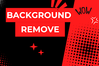 high quality background removal by a professional expert bg