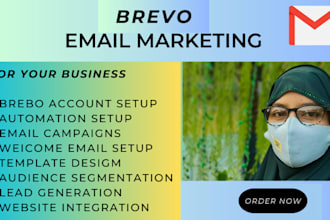 do professional brevo email marketing and automation services
