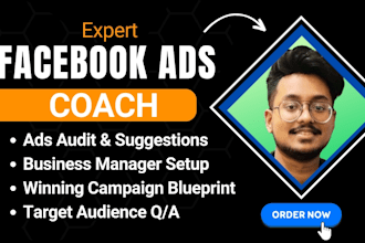 do 1 on 1 facebook ads consultation, fb ads coach and mentor