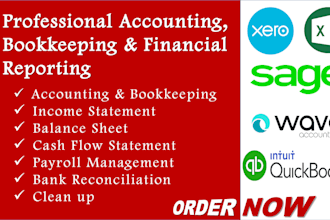 do accounting, bookkeeping and financial reporting