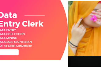 do fast and accurate data entry clerk for your projects