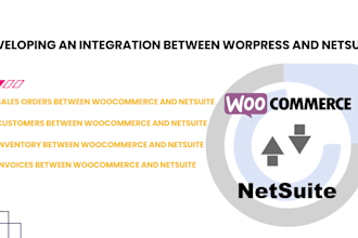 develop an sync between wordpress and netsuite
