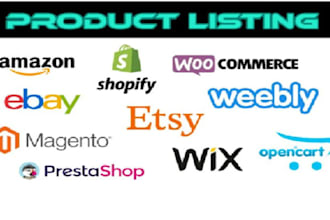 do amazon to ebay dropshipping SEO product research, professional listings