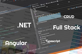 create a dotnet and angular application