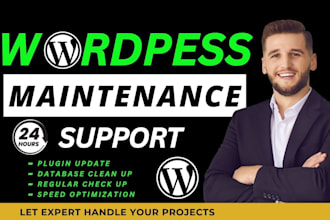 provide wordpress website maintenance, update, fix, repair, safe guard your site