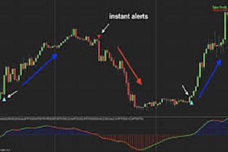 do coding for your ninjatrader platform in 72 hours