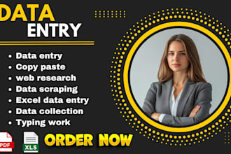 be your VA for data entry web research copy paste data collection typing work