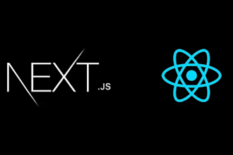 develop custom react nextjs saas and web app development