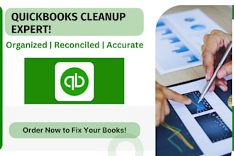 clean up and organize your quickbooks records professionally