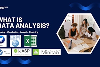 do data cleaning, visualization, analysis spss minitab jasp jamovi weka excel