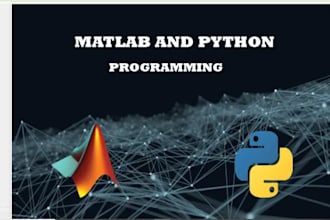 do matlab and python programming