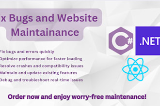 fix bugs and maintain your website