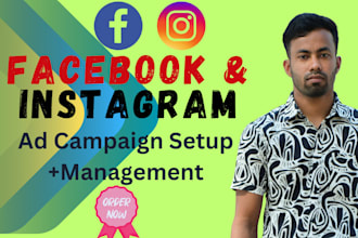 expert facebook and instagram ads campaign setup and management