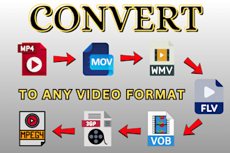 convert your videos to any other video format